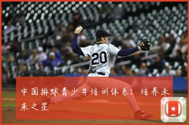 中国排球青少年培训体系:培养未来之星