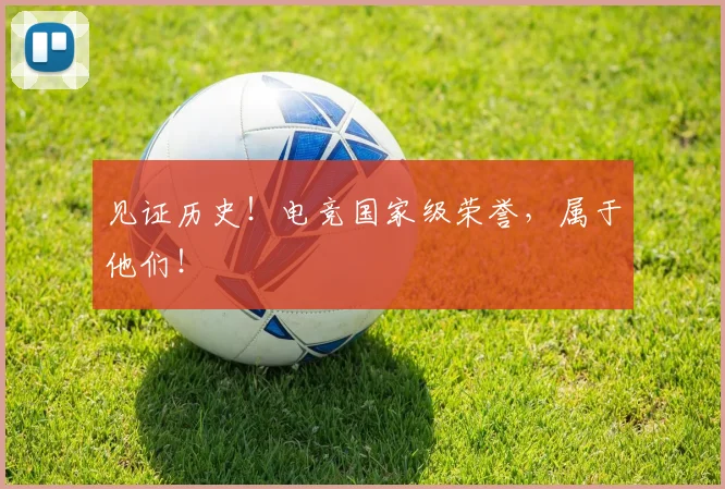 见证历史！电竞国家级荣誉，属于他们！